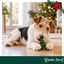 1 un. Wonder Christmas &Aacute;rvore de Couro Prensado Snacks para C&atilde;es, , large Indicador imagem n&uacute;mero 2