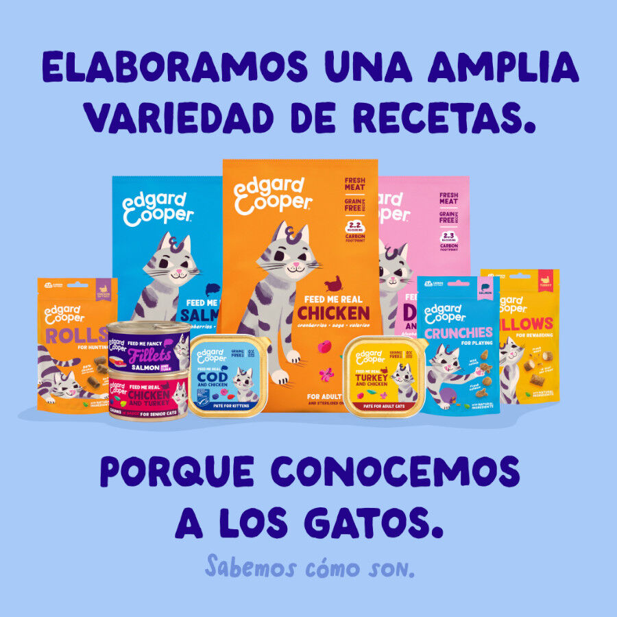 70 g Edgard & Cooper Alimento h&uacute;mido de atum e frango em lata para gatos, , large Imagem n&uacute;mero 8