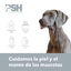 PSH Paws Protetor Bálsamo para cães e gatos, , large Indicador imagem número 3
