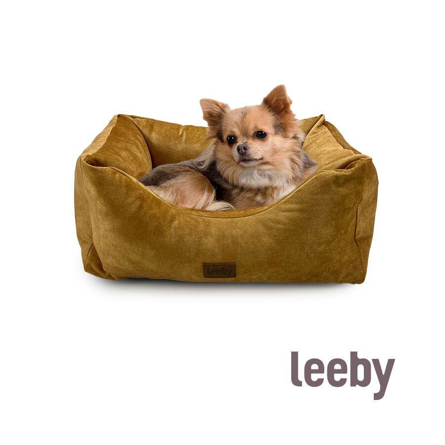Leeby Alcofa com Capa Amov&iacute;vel e Imperme&aacute;vel Dourada para c&atilde;es, , large Imagem n&uacute;mero 2