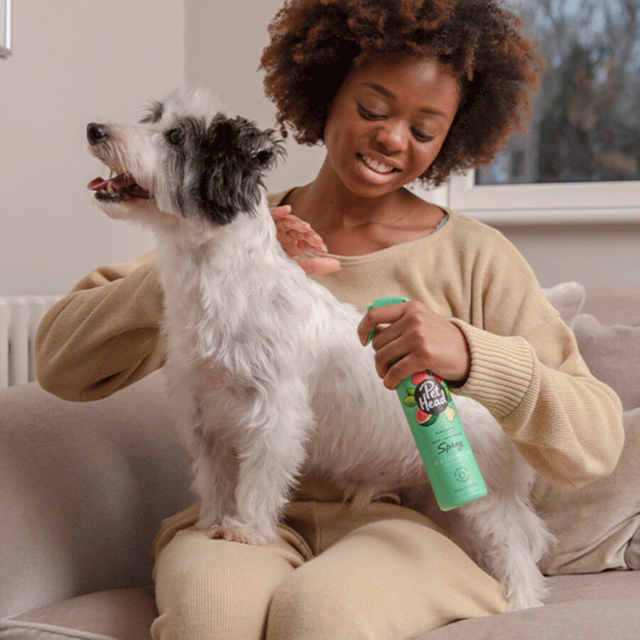 Pet Head Condicionador para c&atilde;es desembara&ccedil;ante 300ml, , large Imagem n&uacute;mero 5