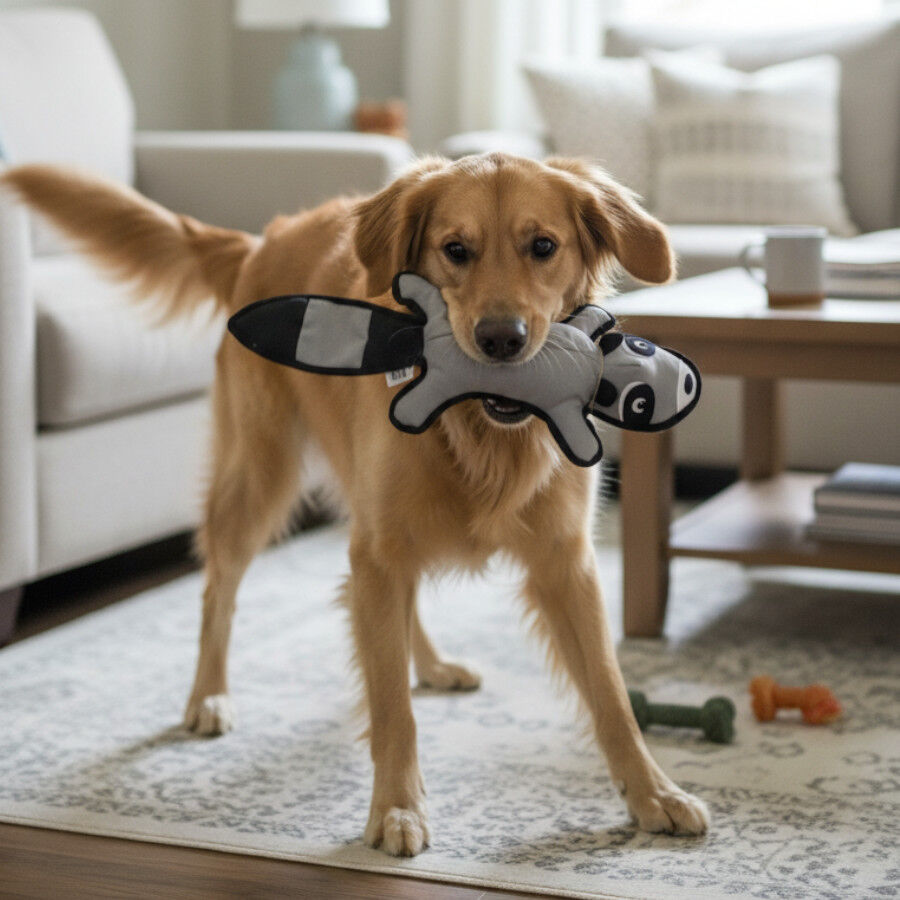 Love the Earth Peluche guaxinim para c&atilde;es, , large Imagem n&uacute;mero 1