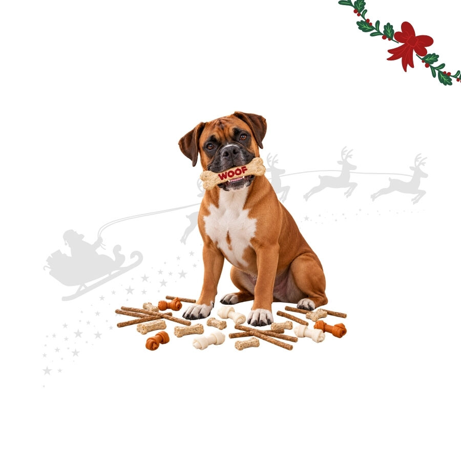 1 pack x 39 uns. Wonder Christmas Caixa de Presente com Snacks de Couro Prensado para C&atilde;es, , large Imagem n&uacute;mero 1