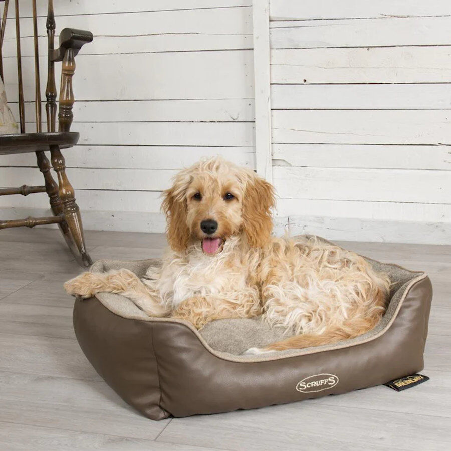 Scruffs Chateau Box Cama Ortop&eacute;dica Latte para c&atilde;es, , large Imagem n&uacute;mero 2