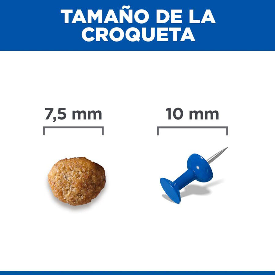 Hill's Smal e Mini Adult Science Plan Frango ra&ccedil;&atilde;o para c&atilde;es, , large Imagem n&uacute;mero 9