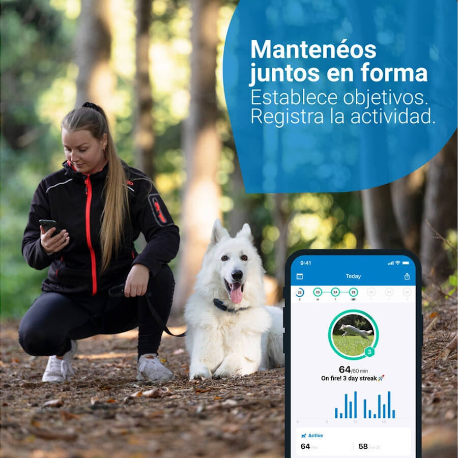 Tractive Localizador GPS para c&atilde;es, , large Imagem n&uacute;mero 3