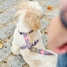 Dukier Flower Power Peitoral Cl&aacute;ssico para c&atilde;es