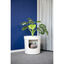 Caixa de areia para gatos Nova Clean Planter, , large Indicador imagem número 4