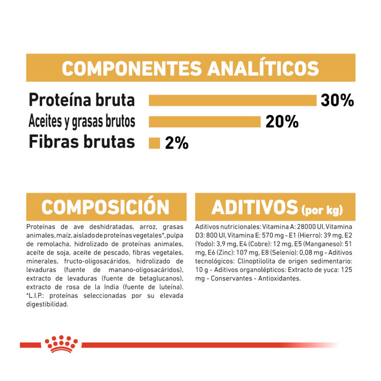 Royal Canin Puppy Chihuahua ração para cães ,  Imagem número 8 Royal Canin Puppy Chihuahua ração para cães , , large Imagem número 8