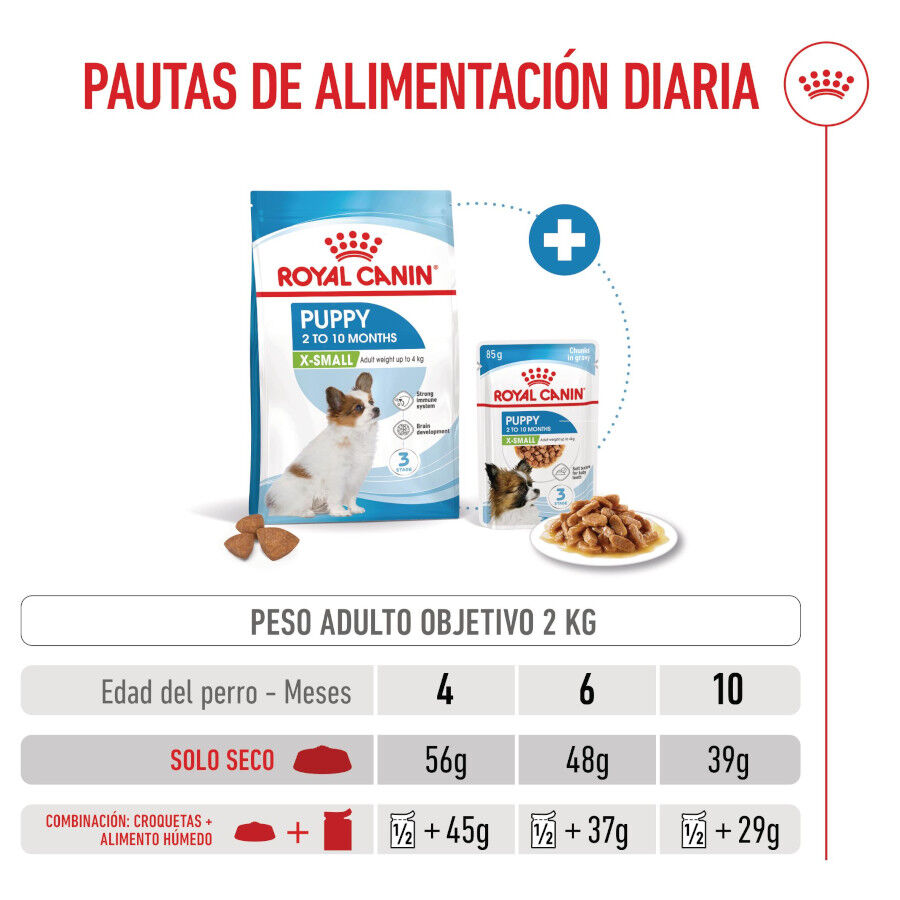 3 kg Royal Canin X-Small Puppy ra&ccedil;&atilde;o para c&atilde;es, , large Imagem n&uacute;mero 8