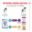 15 kg Royal Canin Junior Giant ração para cães, , large Indicador imagem número 6