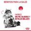 85 g Royal Canin Hair and Skin alimento húmido em molho saquetas para gatos, , large Indicador imagem número 6