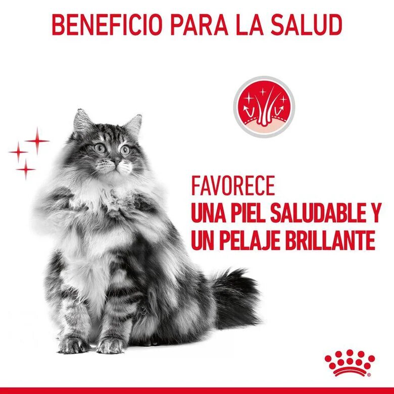 85 g Royal Canin Hair and Skin alimento húmido em molho saquetas para gatos,  Imagem número 6 85 g Royal Canin Hair and Skin alimento húmido em molho saquetas para gatos, , large Imagem número 6