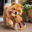 Tootoy! Comfort Jumbo Chicken Peluche para c&atilde;o, , large Indicador imagem n&uacute;mero 1