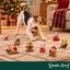 Wonder Christmas Cole&ccedil;&atilde;o capivara Brinquedo para c&atilde;es, , large Indicador imagem n&uacute;mero 2