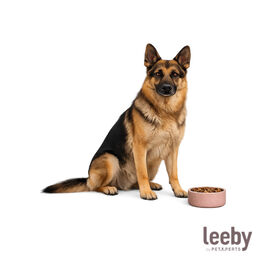 Leeby Comedouro Antiderrapante em A&ccedil;o Inoxid&aacute;vel para C&atilde;es
