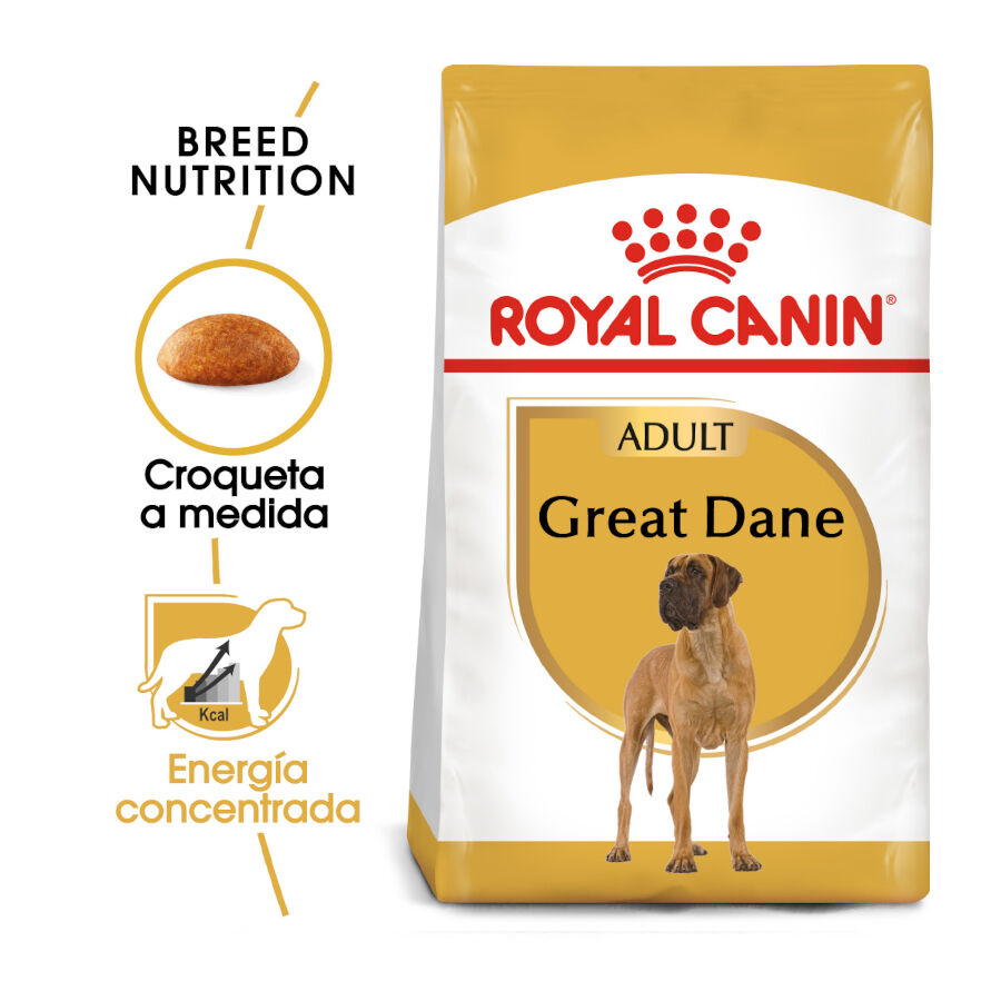 12 kg Royal Canin Adult Dogue Alem&atilde;o ra&ccedil;&atilde;o para c&atilde;es, , large Imagem n&uacute;mero 2