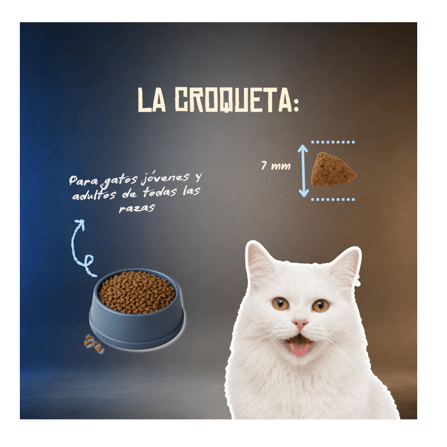 2 Kg Lenda Grain Free Ra&ccedil;&atilde;o de Peixe Branco para gatos, , large Imagem n&uacute;mero 6