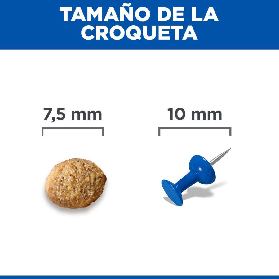 2.5 kg Hill's Science Plan Light Mature Adult small Y mini frango ra&ccedil;&atilde;o para c&atilde;es, , large Imagem n&uacute;mero 8