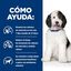 370 g Hill's Prescription Diet Urinary Care Frango lata para cães, , large Indicador imagem número 4