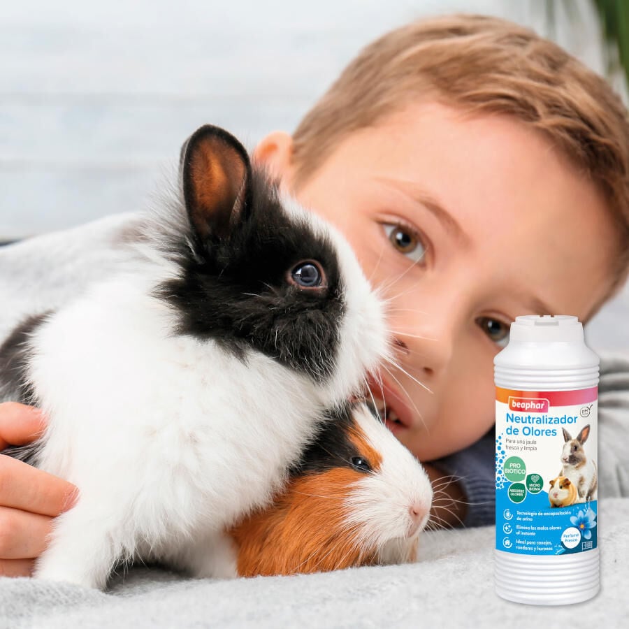 Beaphar Neutralizador de odores para roedores, , large Imagem n&uacute;mero 4