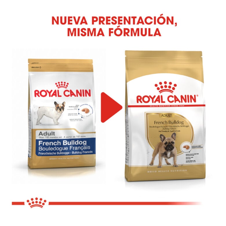 3 kg Royal Canin Adult Buldogue Francês ração para cães,  Imagem número 3 3 kg Royal Canin Adult Buldogue Francês ração para cães, , large Imagem número 3