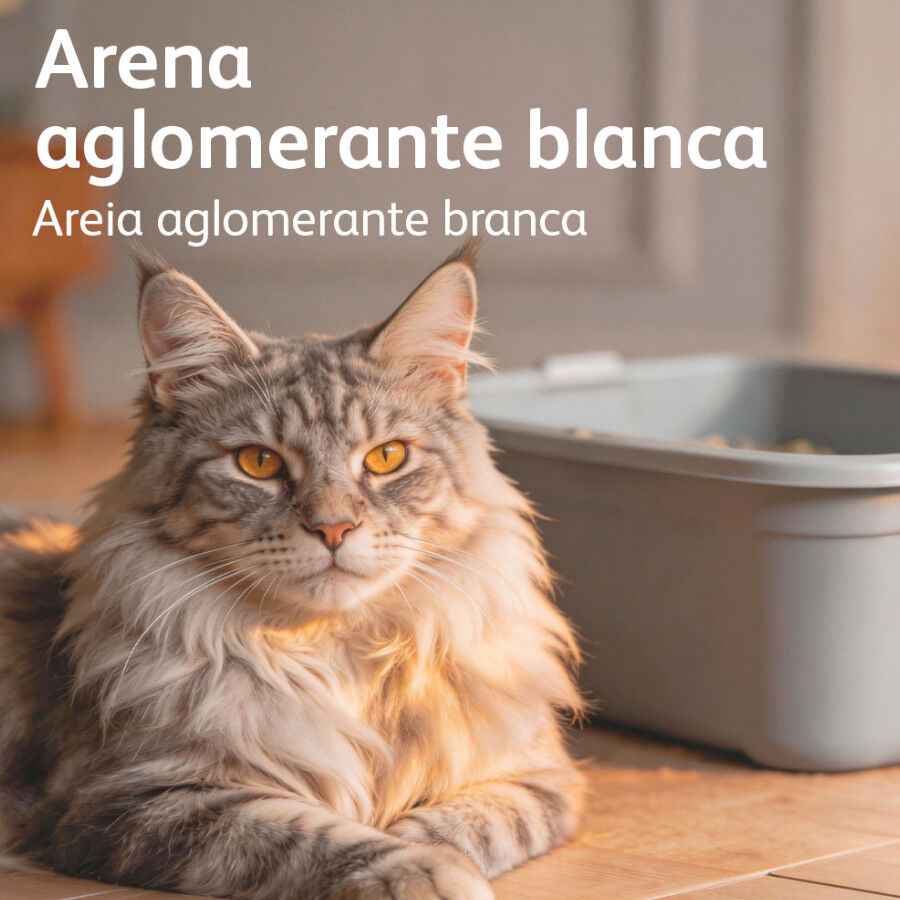 16 L Nova Clean Marselha Areia Aglomerante para gatos, , large Imagem n&uacute;mero 6