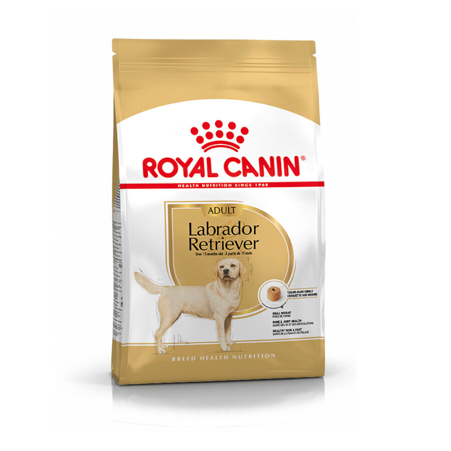12 kg Royal Canin Adult Labrador Retriever ra&ccedil;&atilde;o para c&atilde;es, , large Imagem n&uacute;mero 1
