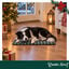 Wonder Christmas Conjunto de manta e almofada em forma de osso para c&atilde;es, , large Indicador imagem n&uacute;mero 2