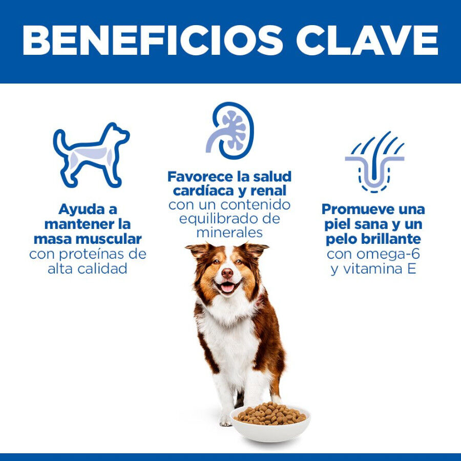 14 kg Hill's Science Plan Medium Mature Adult Frango ra&ccedil;&atilde;o para c&atilde;es, , large Imagem n&uacute;mero 5