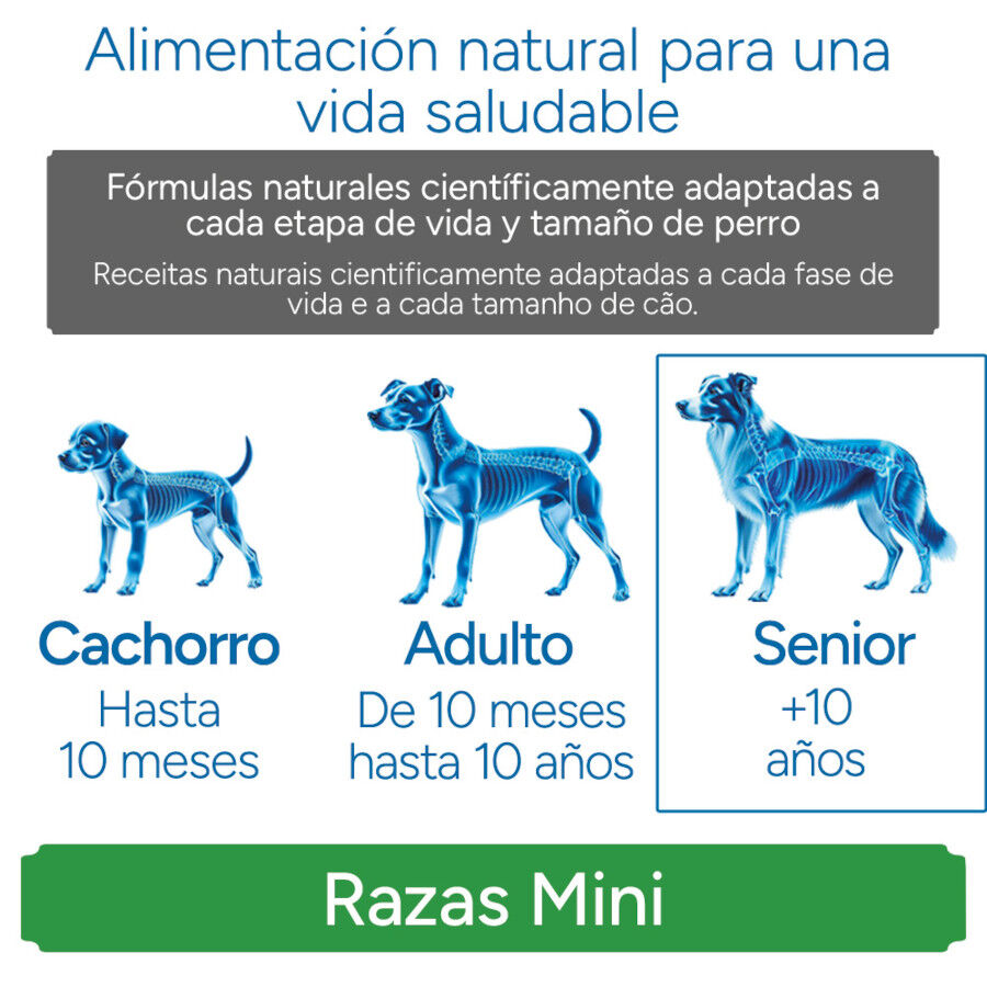 Criadores Cient&iacute;fico Senior Sensitive Mini Ra&ccedil;&atilde;o de salm&atilde;o para c&atilde;es, , large Imagem n&uacute;mero 11