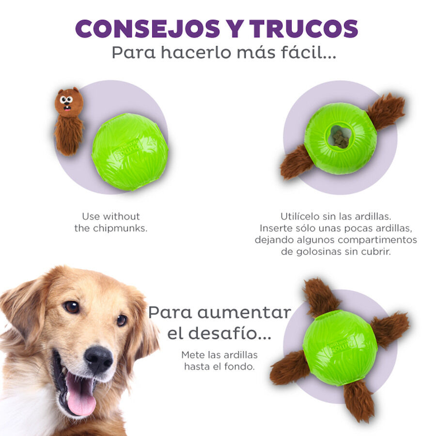 Outward Hound Snuffle n&rsquo; Treat Bola Interativa Porta-Snacks para c&atilde;es, , large Imagem n&uacute;mero 4