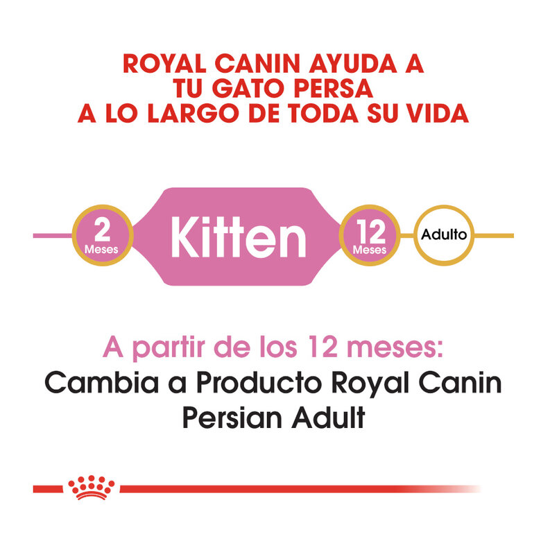 10 kg Royal Canin Kitten Persa ração para gatinhos,  Imagem número 6 10 kg Royal Canin Kitten Persa ração para gatinhos, , large Imagem número 6