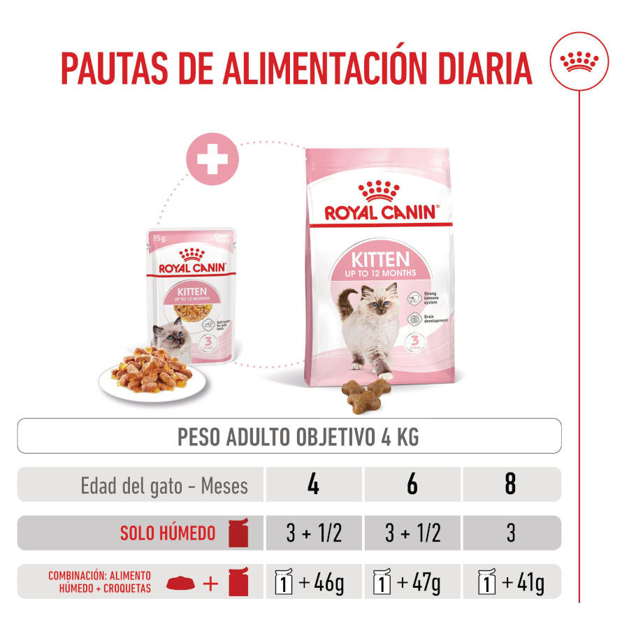 85 g Royal Canin Kitten alimento h&uacute;mido em gelatina saquetas para gatinhos, , large Imagem n&uacute;mero 7