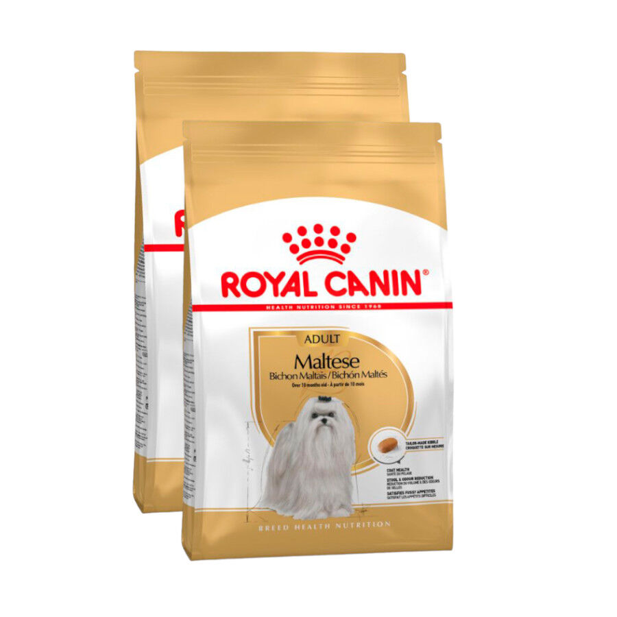 2 x 1.5 kg Royal Canin Adult Bich&oacute;n Malt&ecirc;s ra&ccedil;&atilde;o para c&atilde;es  Pack poupan&ccedil;a!, , large Imagem n&uacute;mero 1