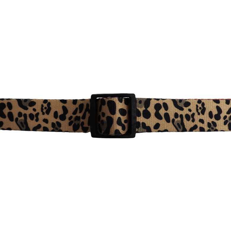 Gotoo Peitoral estampado leopardo castanha para cães,  Imagem número 7 Gotoo Peitoral estampado leopardo castanha para cães, , large Imagem número 7
