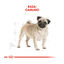 3 kg Royal Canin Adult Pug ração para cães, , large Indicador imagem número 4
