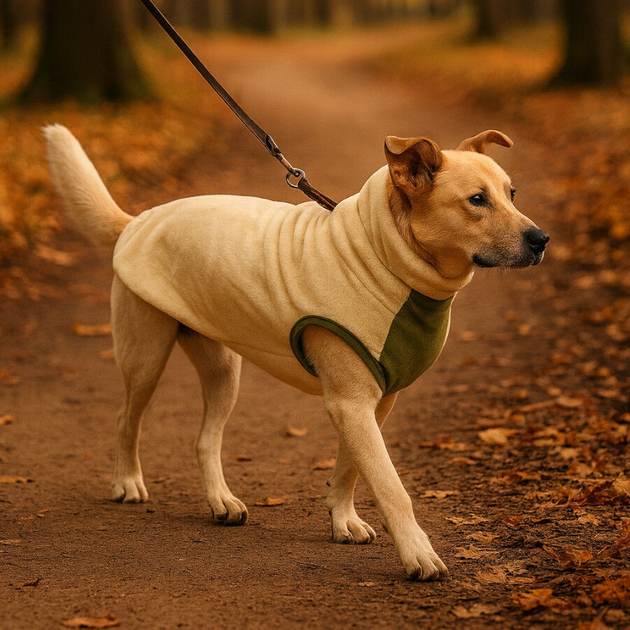 Outech Casaco Polar Bege para c&atilde;es, , large Imagem n&uacute;mero 1