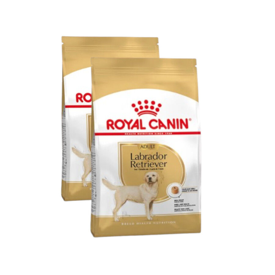 2 x 12 kg Royal Canin Adult Labrador Retriever ra&ccedil;&atilde;o para c&atilde;es Pack poupan&ccedil;a!, , large Imagem n&uacute;mero 1