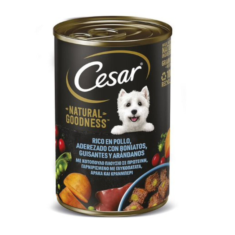 400 g Cesar Frango lata para cães ,  Imagem número 1 400 g Cesar Frango lata para cães , , large Imagem número 1