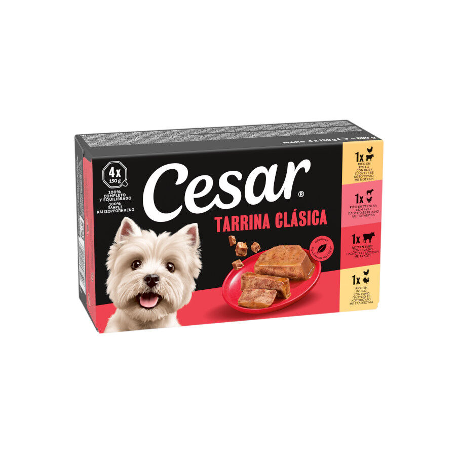 4 terrinas x 150 g Cesar Sele&ccedil;&atilde;o Cl&aacute;ssicos Terrina em Pat&ecirc; para C&atilde;es - Multipack, , large Imagem n&uacute;mero 1