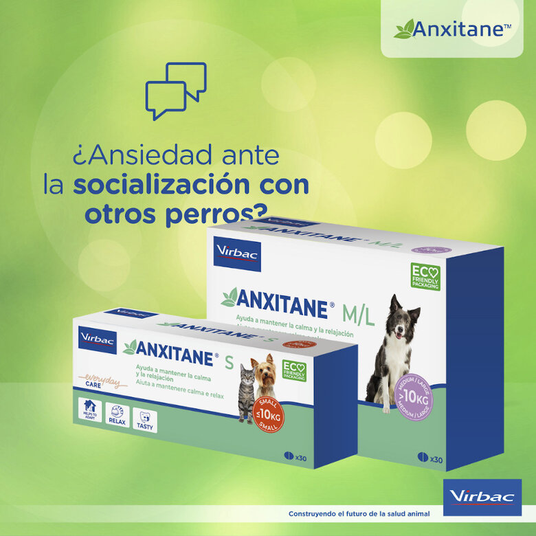 S Virbac Anxitane Relaxantes em comprimidos para cães e gatos,  Imagem número 5 S Virbac Anxitane Relaxantes em comprimidos para cães e gatos, , large Imagem número 5
