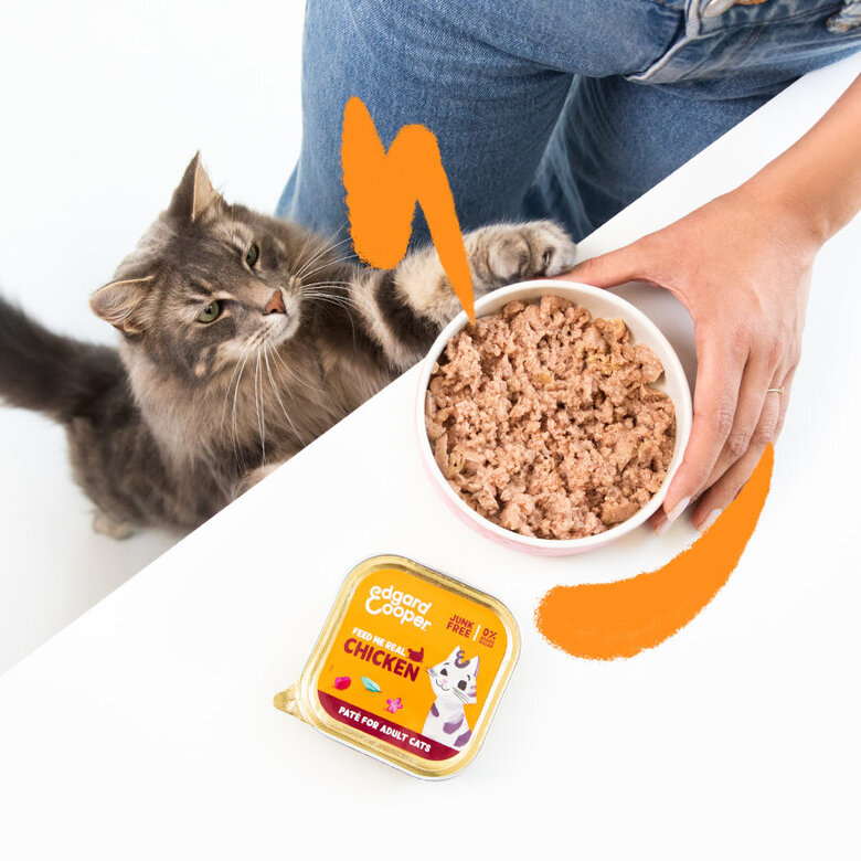 Edgard & Cooper Adult Frango em Patê terrina para gatos, , large image number null