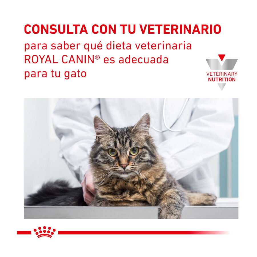 12 saquetas x 85 g Royal Canin Adult Veterinary Urinary pat&eacute; sobre para gatos, , large Imagem n&uacute;mero 7