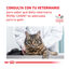 12 saquetas x 85 g Royal Canin Adult Veterinary Urinary paté sobre para gatos, , large Indicador imagem número 7