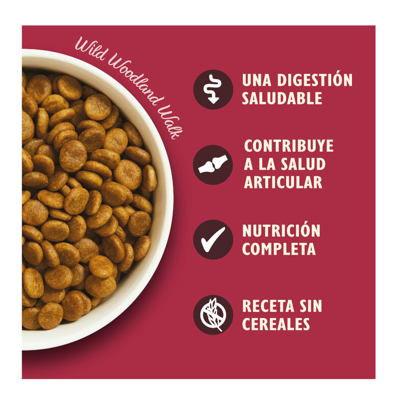 12 kg Lily's Kitchen Adult Veado e Pato ração para cães,  Imagem número 3 12 kg Lily's Kitchen Adult Veado e Pato ração para cães, , large Imagem número 3