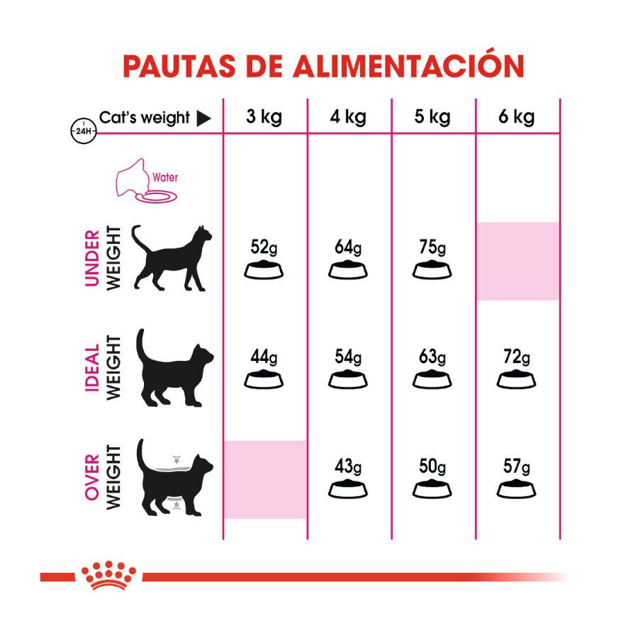 0.4 kg Royal Canin Adult Exigent Aroma ra&ccedil;&atilde;o para gatos, , large Imagem n&uacute;mero 6