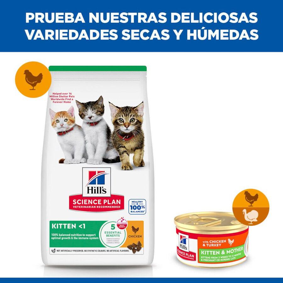 85 g Hill's Science Plan Kittene Mother Mousse de Frango e Peru lata para gatos, , large Imagem n&uacute;mero 6