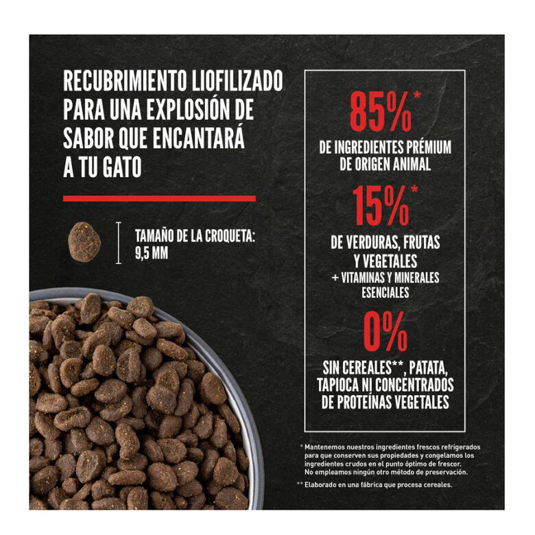 4.5 kg Orijen Guardián 8 Ração para gatos,  Imagem número 5 4.5 kg Orijen Guardián 8 Ração para gatos, , large Imagem número 5