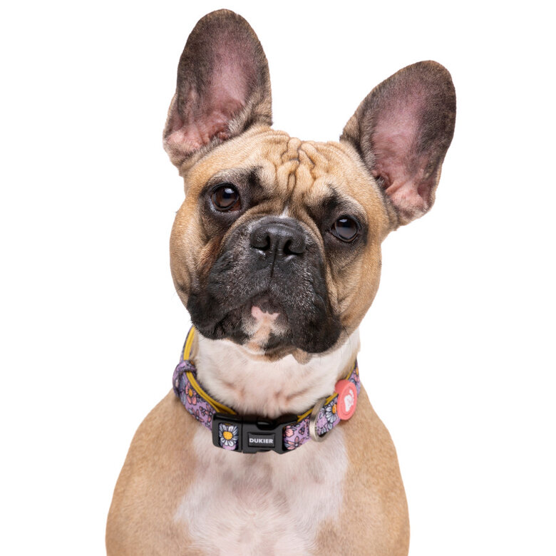 Dukier Flower Power coleira para cães,  Imagem número 2 Dukier Flower Power coleira para cães, , large Imagem número 2